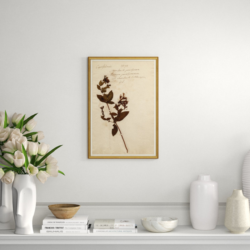 Herbarium 5 Giclee Print