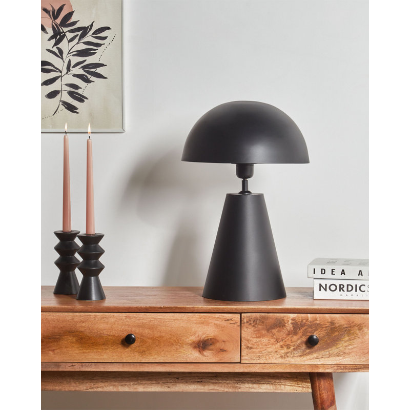 Darzell Metal Novelty Lamp