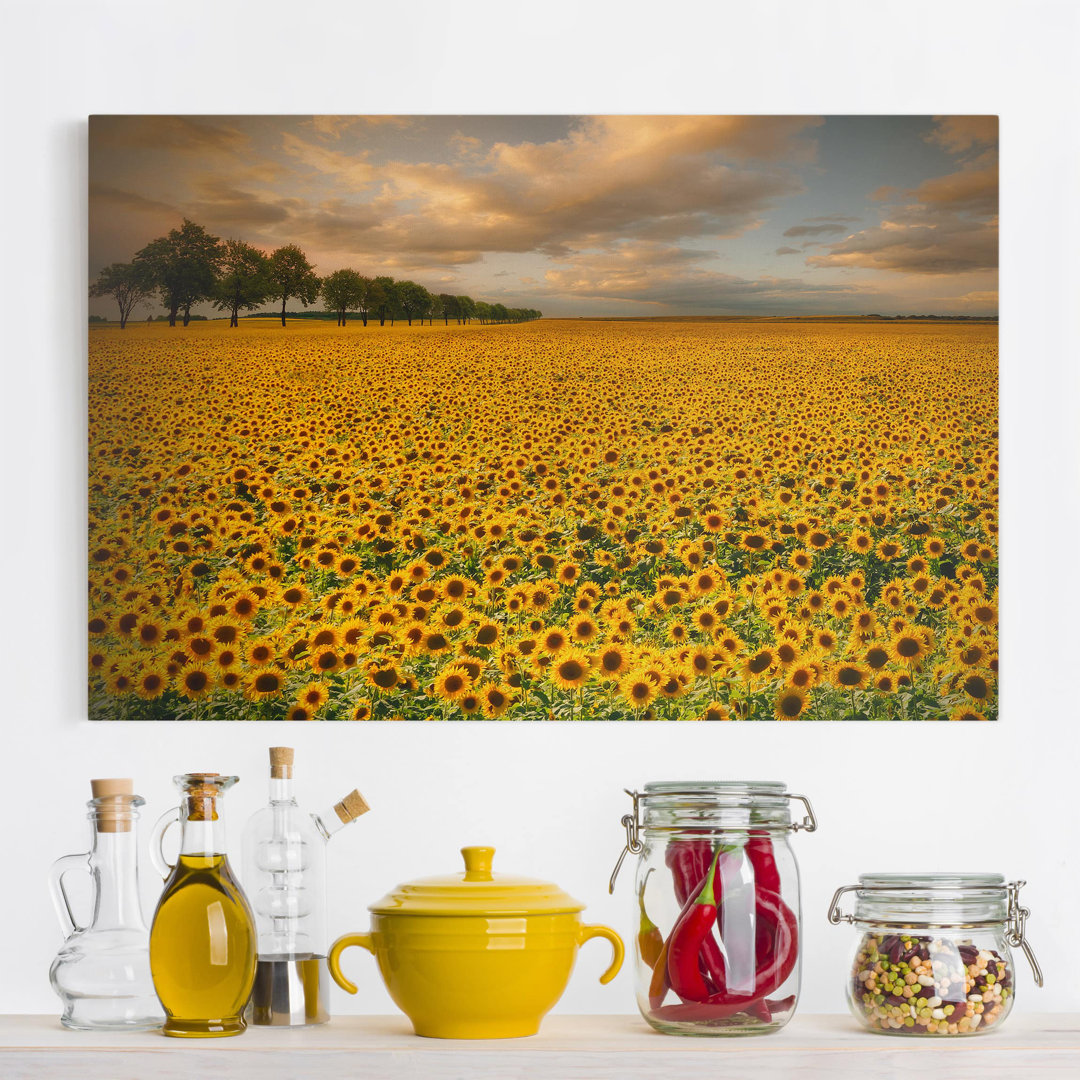 Leinwandbild Sunflower Field