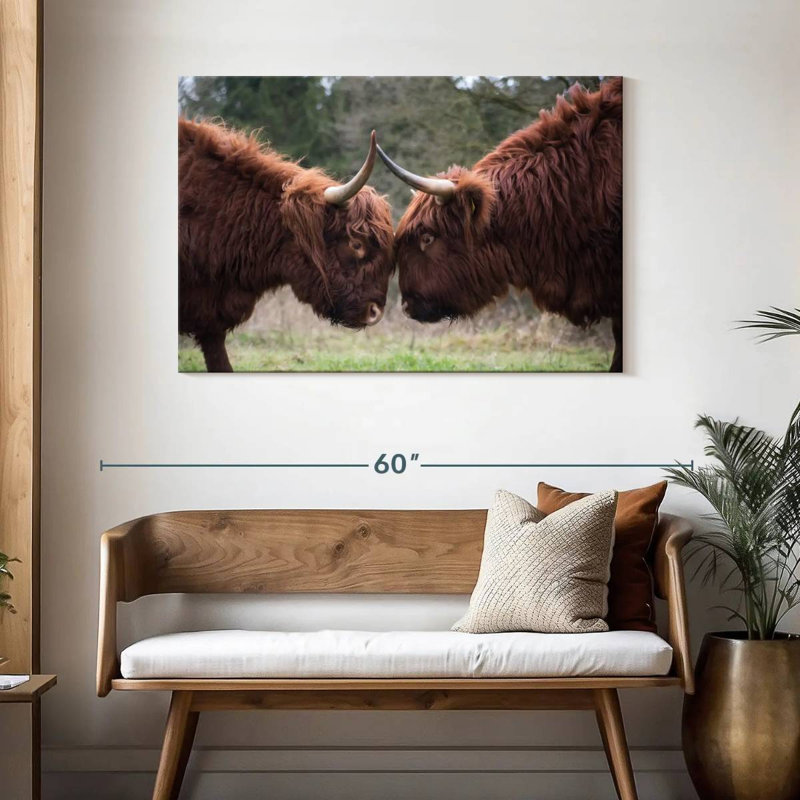 Brampt Highland Cow Clash, 30" H x 45" W