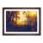 Walnut Framed selected