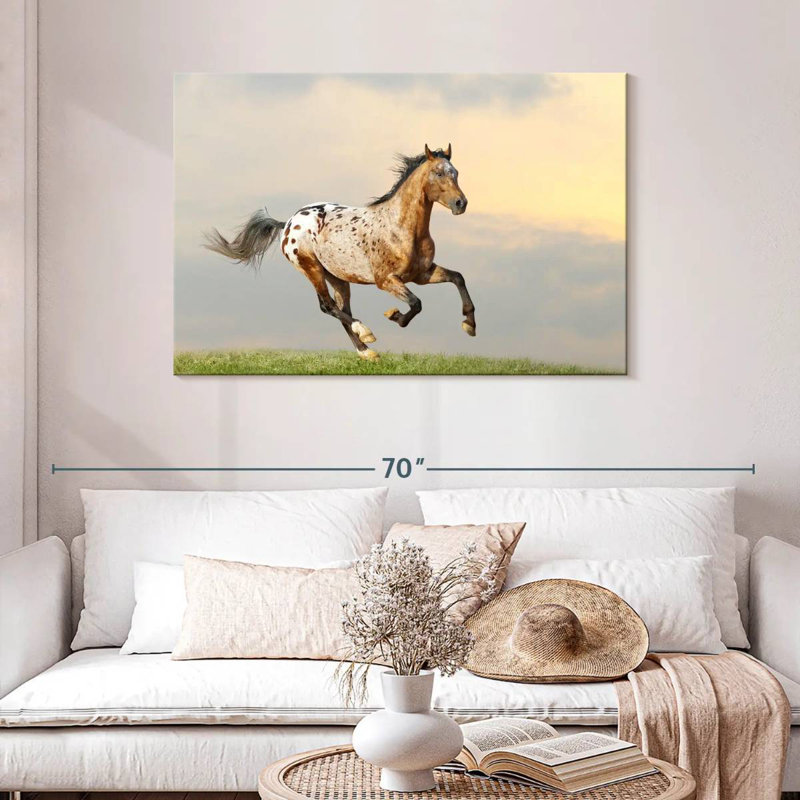 Brampt Majestic Appaloosa Stallion