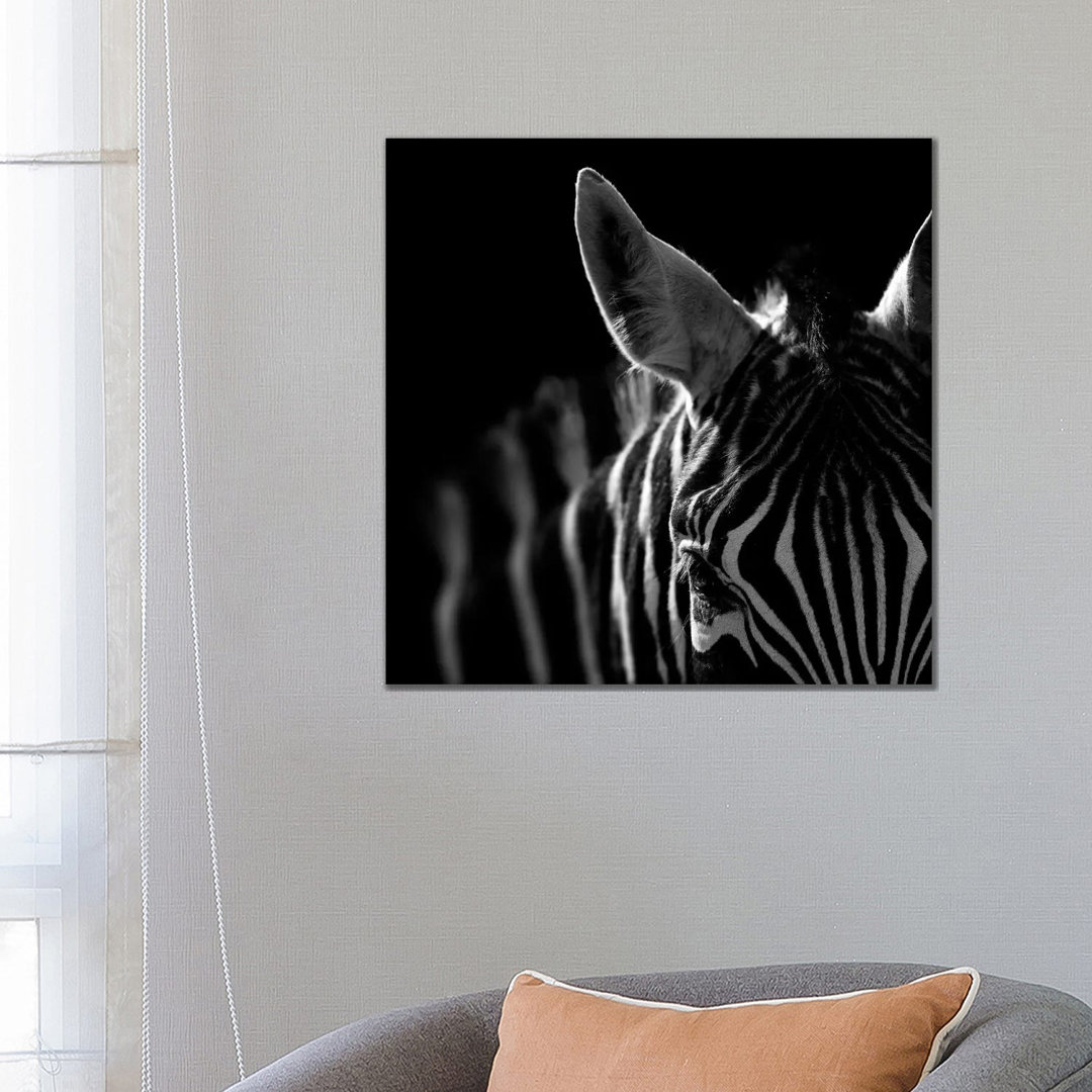 Zebra in Black and White IV by Lukas Holas - Wrapped Canvas Graphic Art