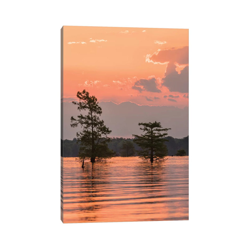 USA, Louisiana, Atchafalaya National Wildlife Refuge. Sunrise On Swamp. by Jaynes Gallery - Wrapped Canvas Print