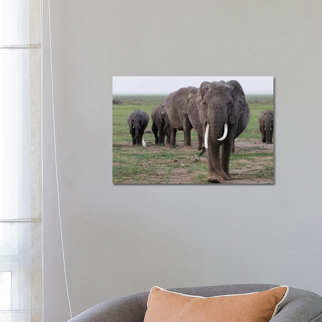 Africa, Kenya, Amboseli National Park Elephants On The March by Jaynes Gallery - Wrapped Canvas Print