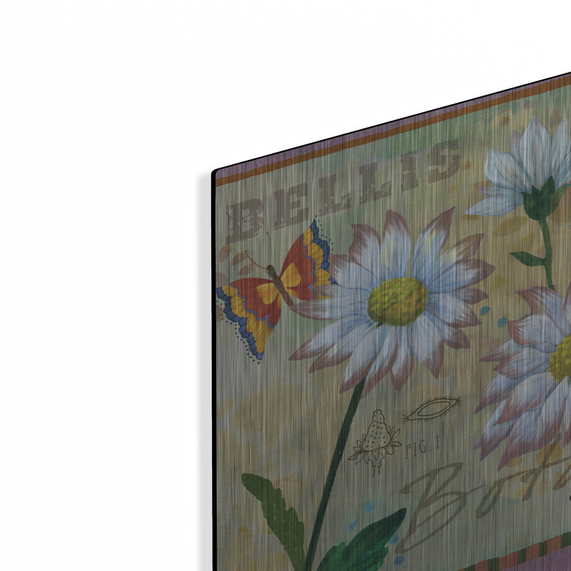  «Bellis Botanica» par Fiona Stokes-Gilbert, art mural en métal, 12 po x 12 po