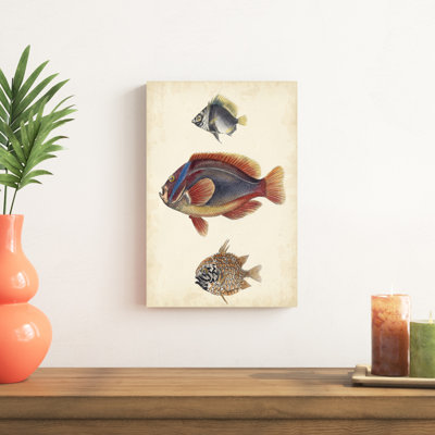 «Antique Fish Species IV», peinture sur toile
