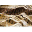 Safari Animal Print Area Rug