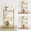 Basurto 46.8cm Bar Cabinet