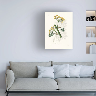 Bolog John Stephenson And Ferula Persica Medical Botany Canvas Art