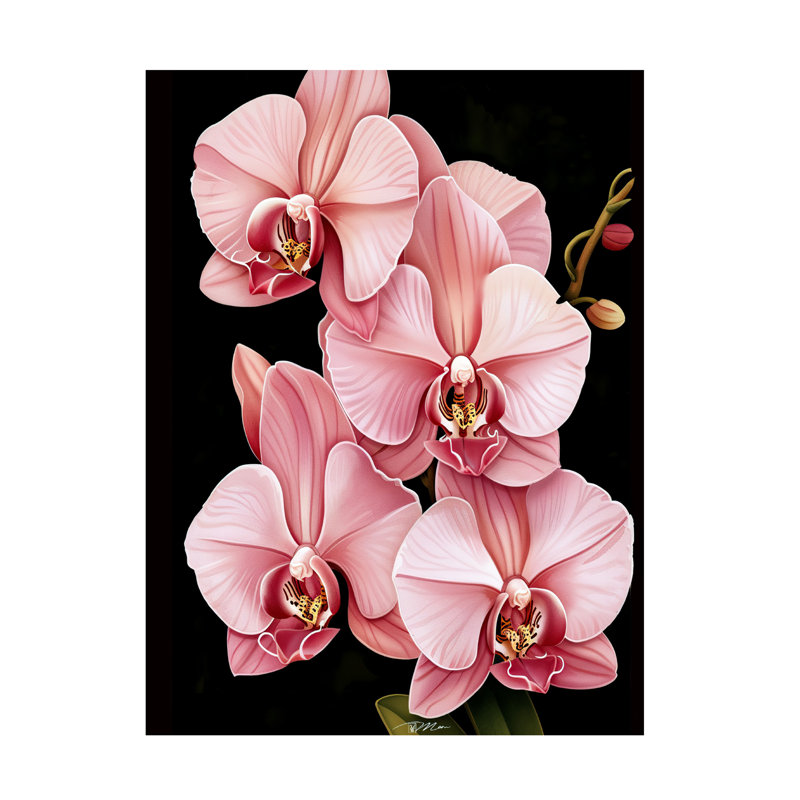 "Orchidées roses" sur fond noir, H 14 po x l 19 po