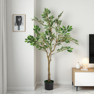 Ficus artificiel de 51 po - Figuier qui pleure avec pot en plastique noir, faux arbre d'intérieur pour la décoration intérieure, feuillage résistant aux rayons UV