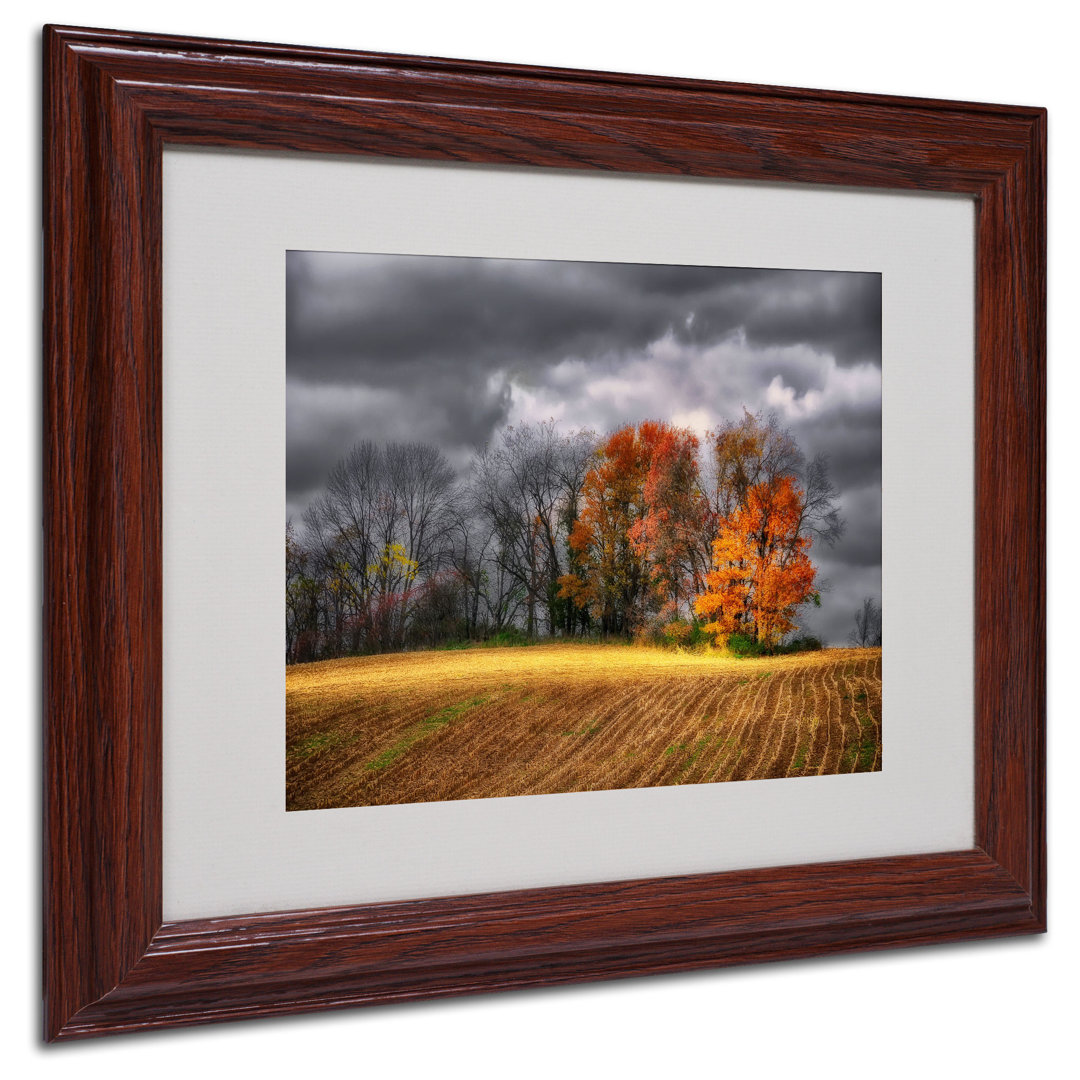 Autumn Modern & Contemporary Trademark Fine Art 