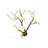 Transitional 6 Light Brass branch Wall Sconce