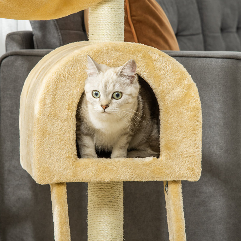Arbre à chat 39,4 po H Durrie