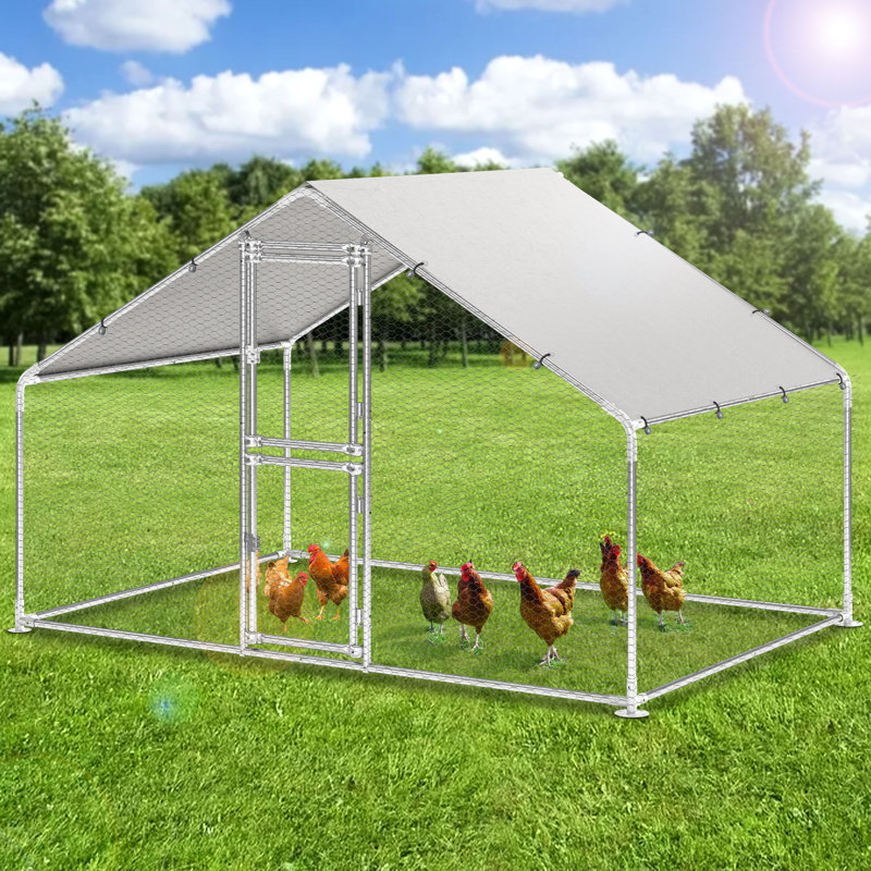 Cyril Walk In Chicken Run, 193cm H x 300cm W x 200cm D