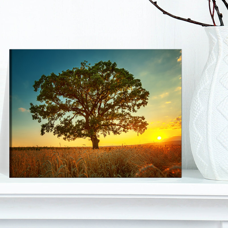 «Big Green Tree in Summer Field», reproduction de photo sur toile tendue, H 8 po x l 12 po