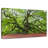 Harnek Lush Oak Tree-107687612