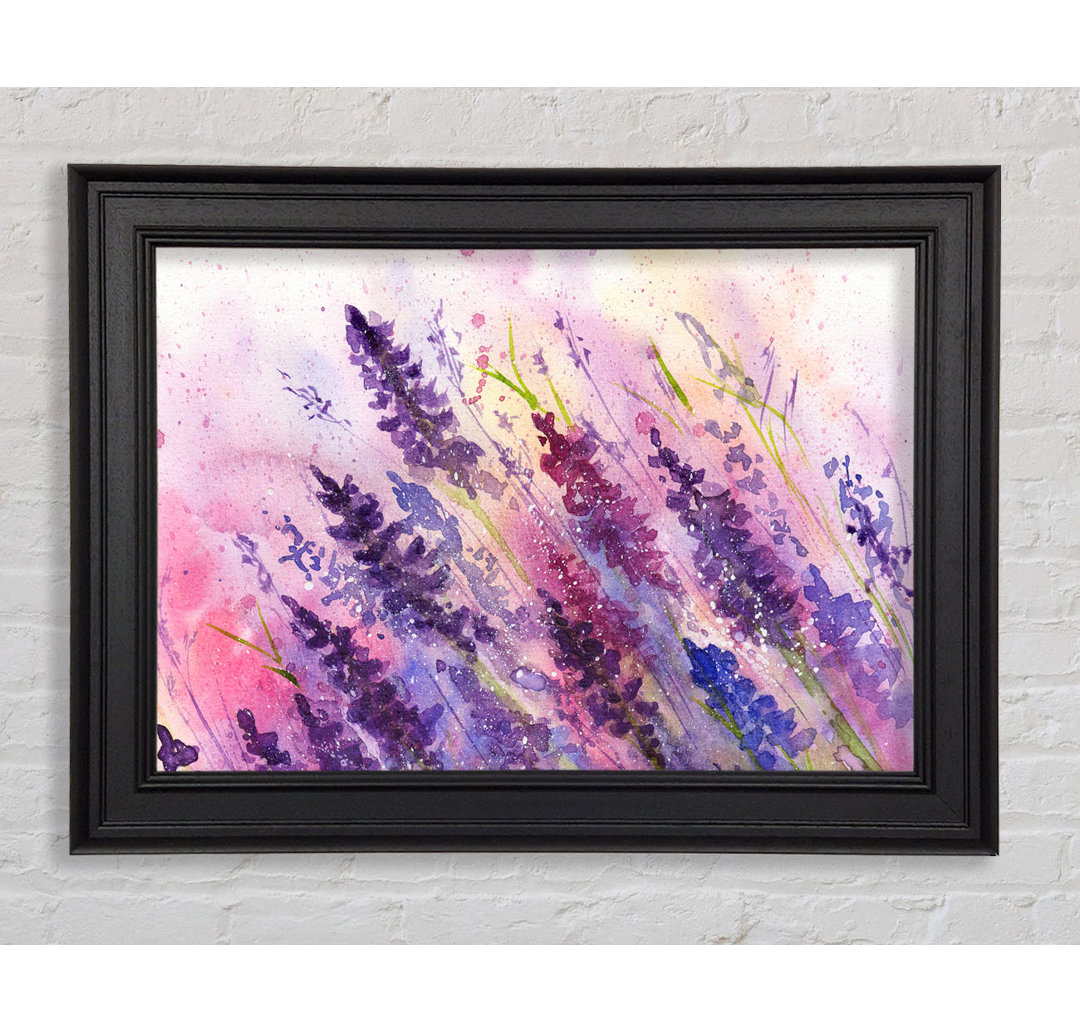 Gerahmtes Leinwandbild Lavender Colour Splash