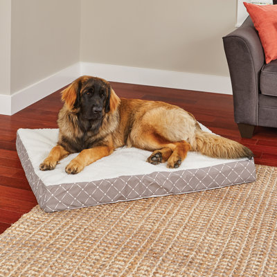 Lit pour chien Donovan orthopédique double épaisseur Quiet Time