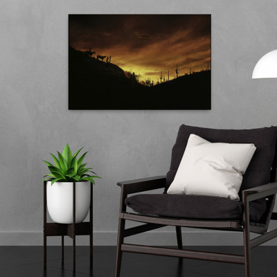 Coucher de soleil, Sonoran, désert, Tuscon, Az, paisible, cactus abstrait, art animalier