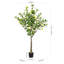 Arbre en pot faux citron 60 po