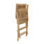 Hayne Teak Outdoor Lounge Chair