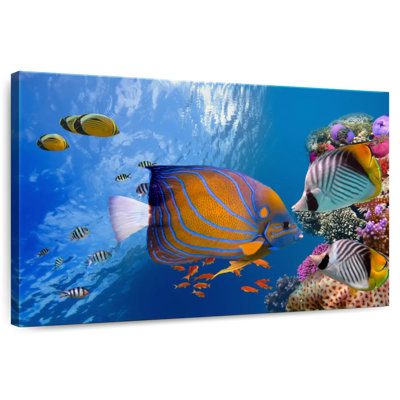 Aletra Lively Underwater Life