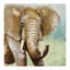 Painterly Elephant by Tava Studios - Wrapped Canvas Painting-42159470