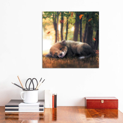 Fox Cub Sleeping by Zenja Gammer - Wrapped Canvas Print