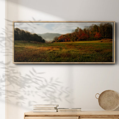 Warm Morning Light- Framed Canvas