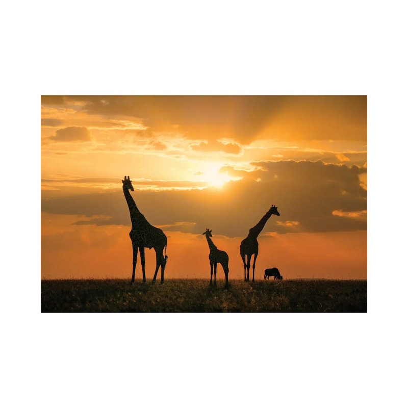 Golden Africa by John Fan - Wrapped Canvas Print