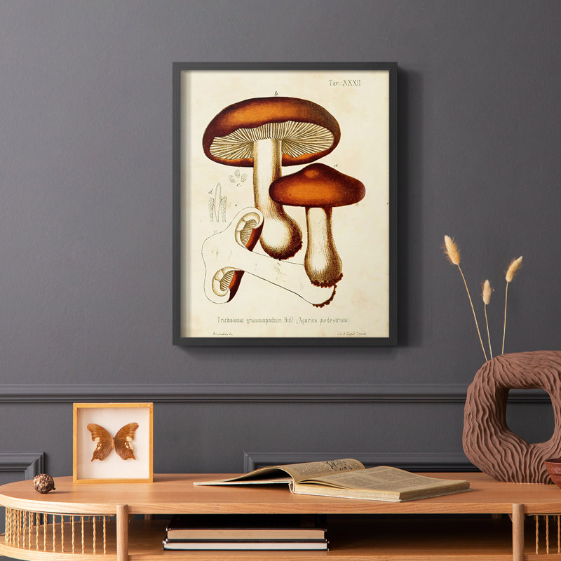 Champignon Variétés VI, reproduction encadrée - bois massif, Noir, H 28 po x l 22 po