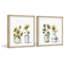 Always In Bloom Diptych