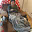 Photos des clients 1 de 1