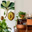 «Turpin Tropical Fruit VI», reproduction d'art sur toile tendue-643120100