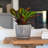 12" Ana Planter, 2-pack