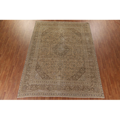Traditional   Area Rug 10x12