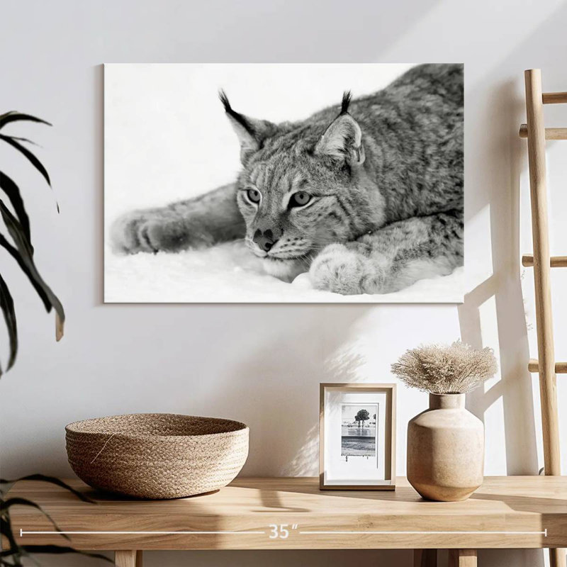Brampt Lynx BW, 16" H x 24" W