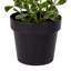 Ficus artificiel panaché 36 po