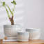Planter