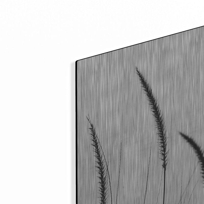 «Field Grasses IV White» par Debra Van Swearingen, H 16 po x l 12 po