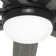 60" Wilder 7 - Blade Standard Ceiling Fan with Wall Control and Light Kit Included