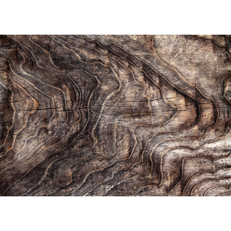 Papier peint Surface avec fond - Vieil arbre froissé, L 118 po x L 82 po