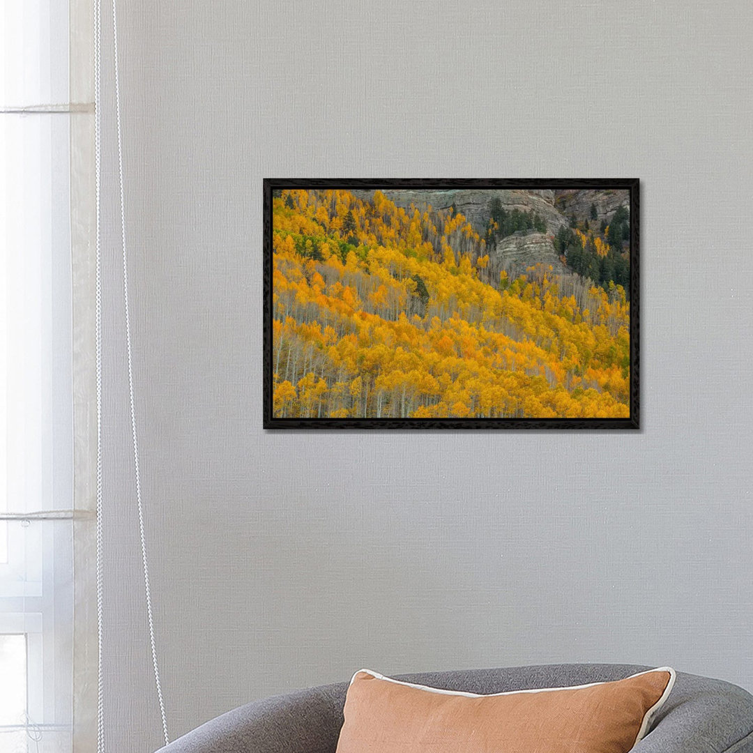 Autumn Canyon von Bill Sherrell - Galerie-umwickelte Leinwand Giclée auf Leinwand