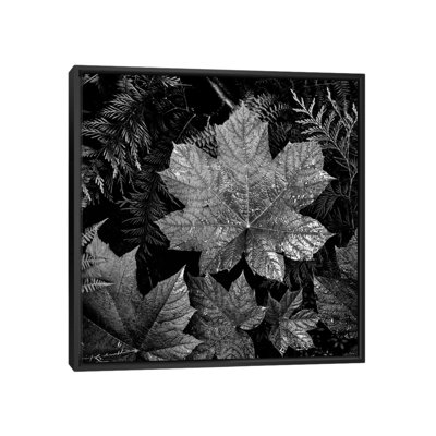 " In Glacier National Park XXIII " by Ansel Adams