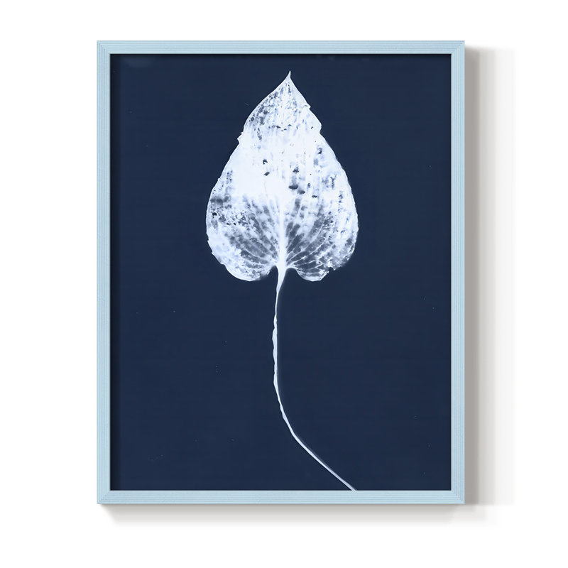 Reproduction encadrée de feuille de cyanorphe III - bois massif, H 15 po x l 12 po, Bleu