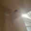 Customer photo 2 of 2