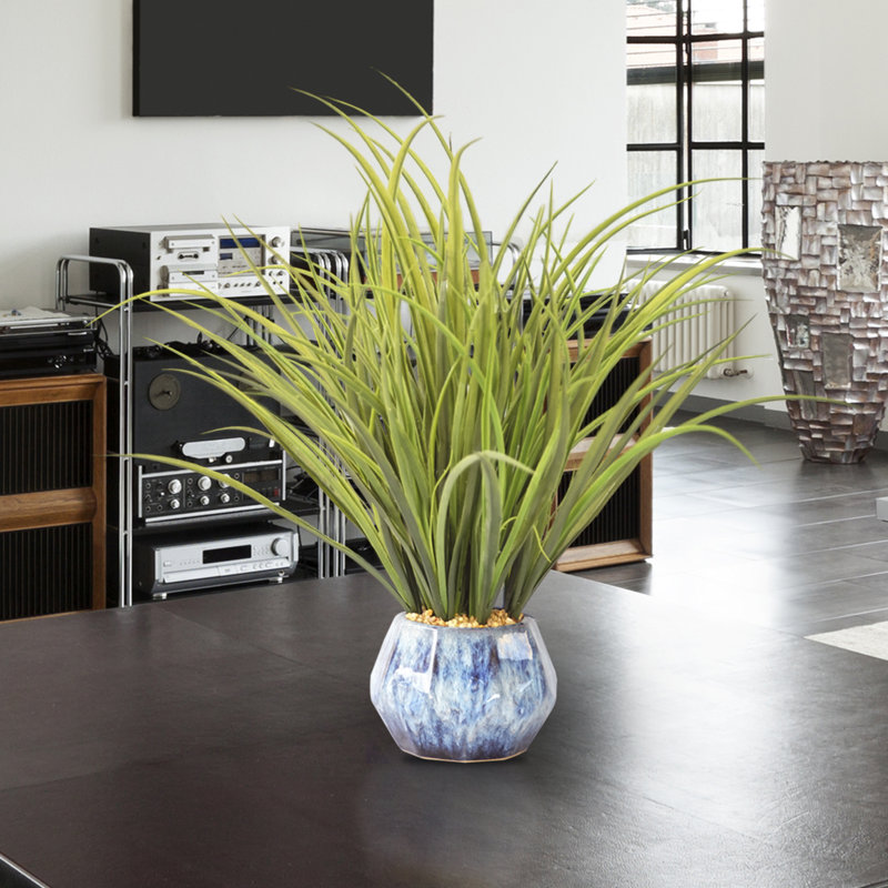 Herbe de bureau en vase décoratif oignon