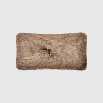Fieldman Reversible Lumbar Pillow Cover & Insert